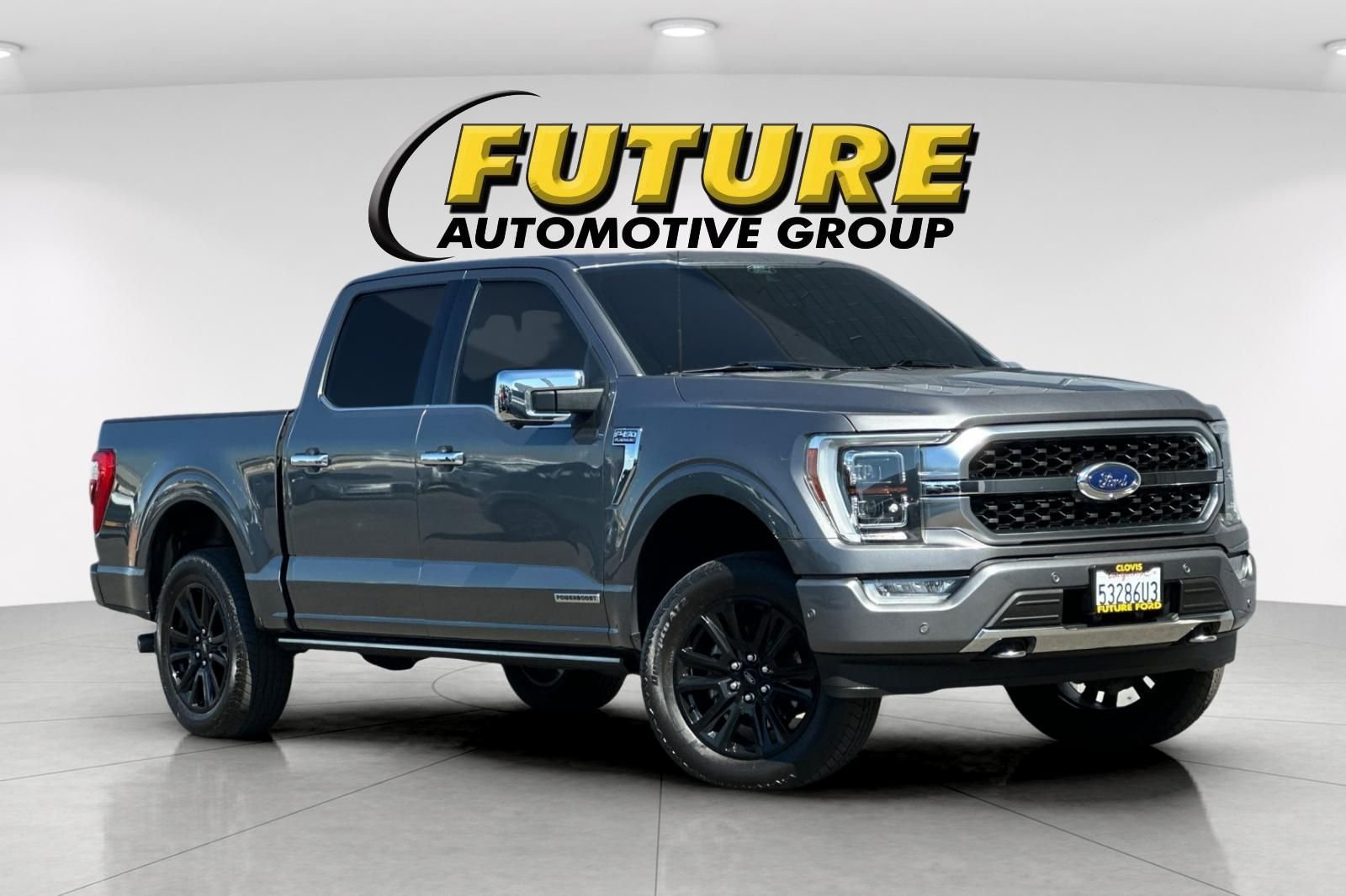 Used 2022 Gray Ford Platinum image 1