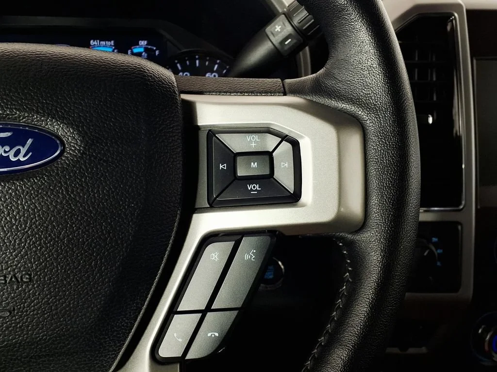 Used 2020 Magnetic Metall Ford XL image 21