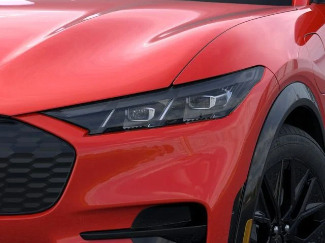 New 2026 Race Red Ford Premium image 18