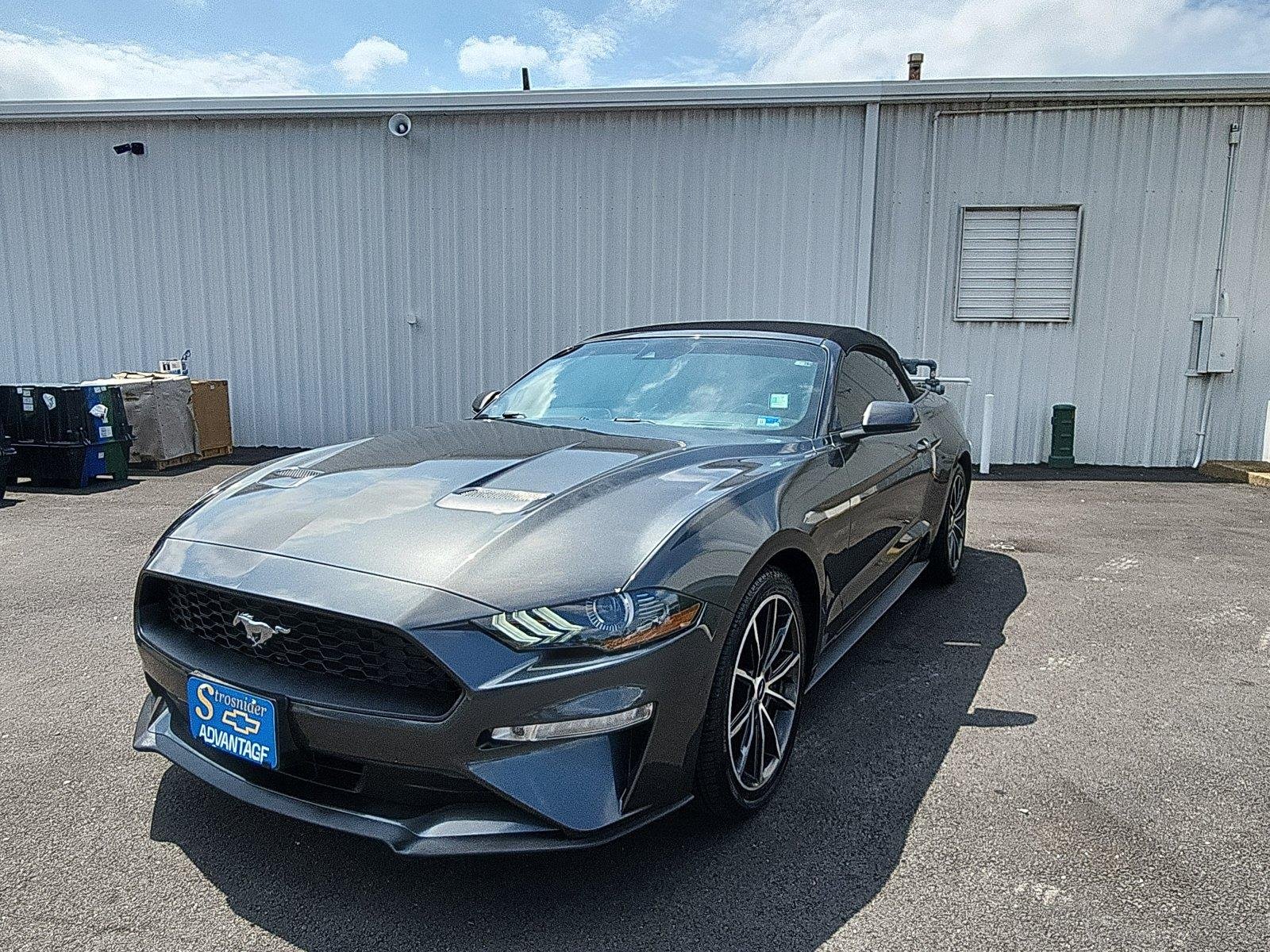 2019 Ford Mustang