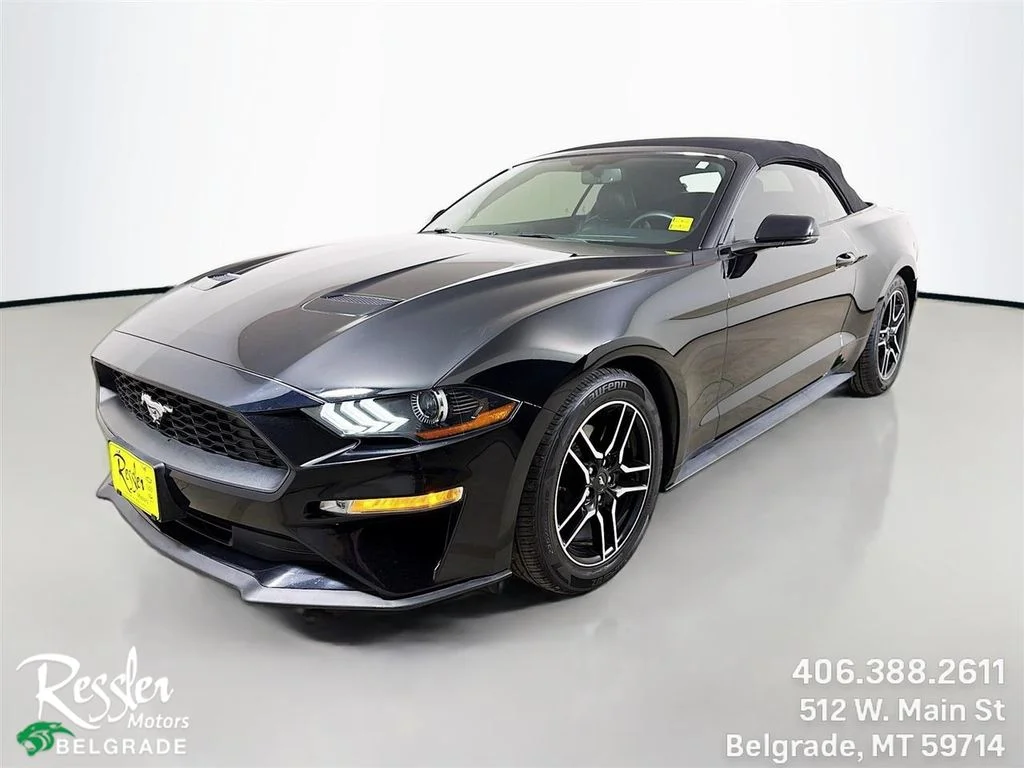 2019 Ford Mustang EcoBoost Convertible's photo