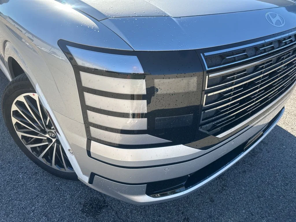 New 2026 Typhoon Silver Metallic Hyundai Calligraphy image 10