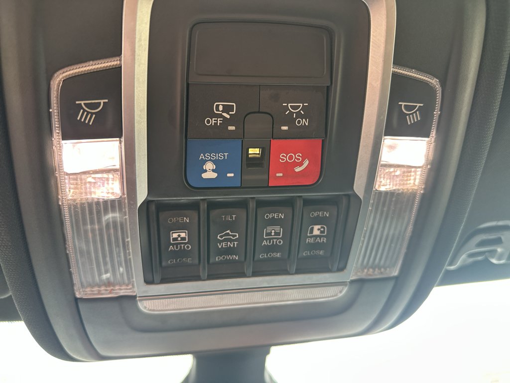 Used 2019 Black Ram Rebel image 29