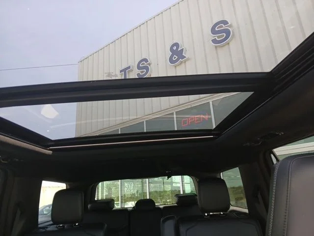 New 2026 Black Ford Platinum image 23