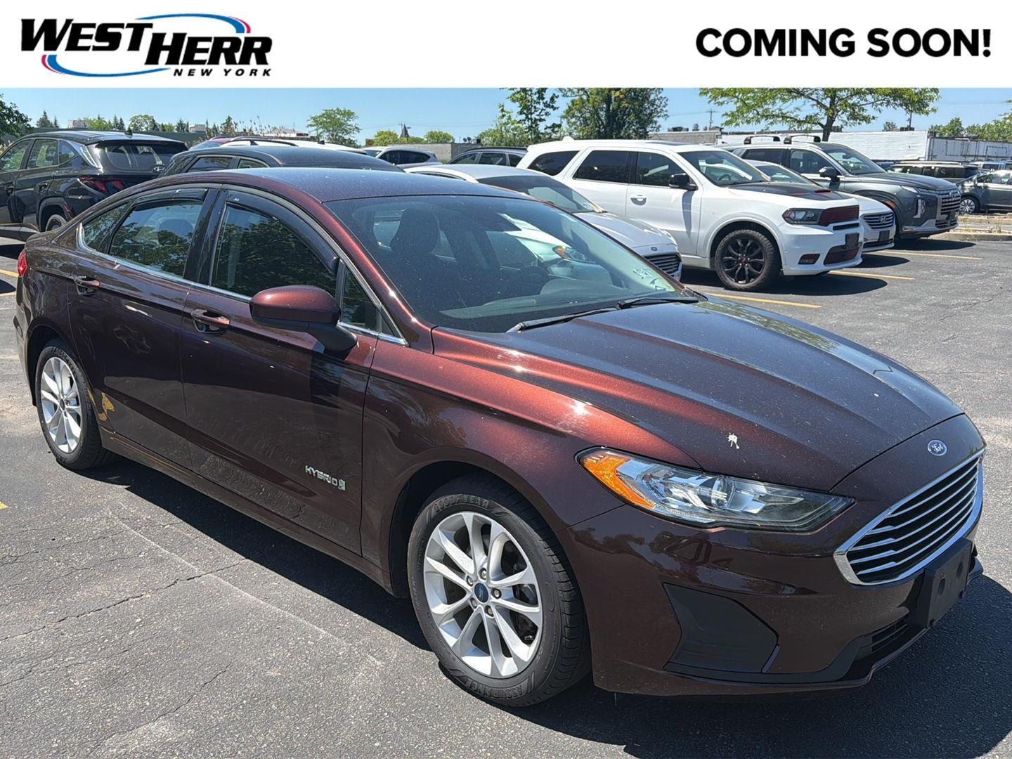 Used 2019 Rich Copper Metallic Tinted Clearcoat Ford SE image 1