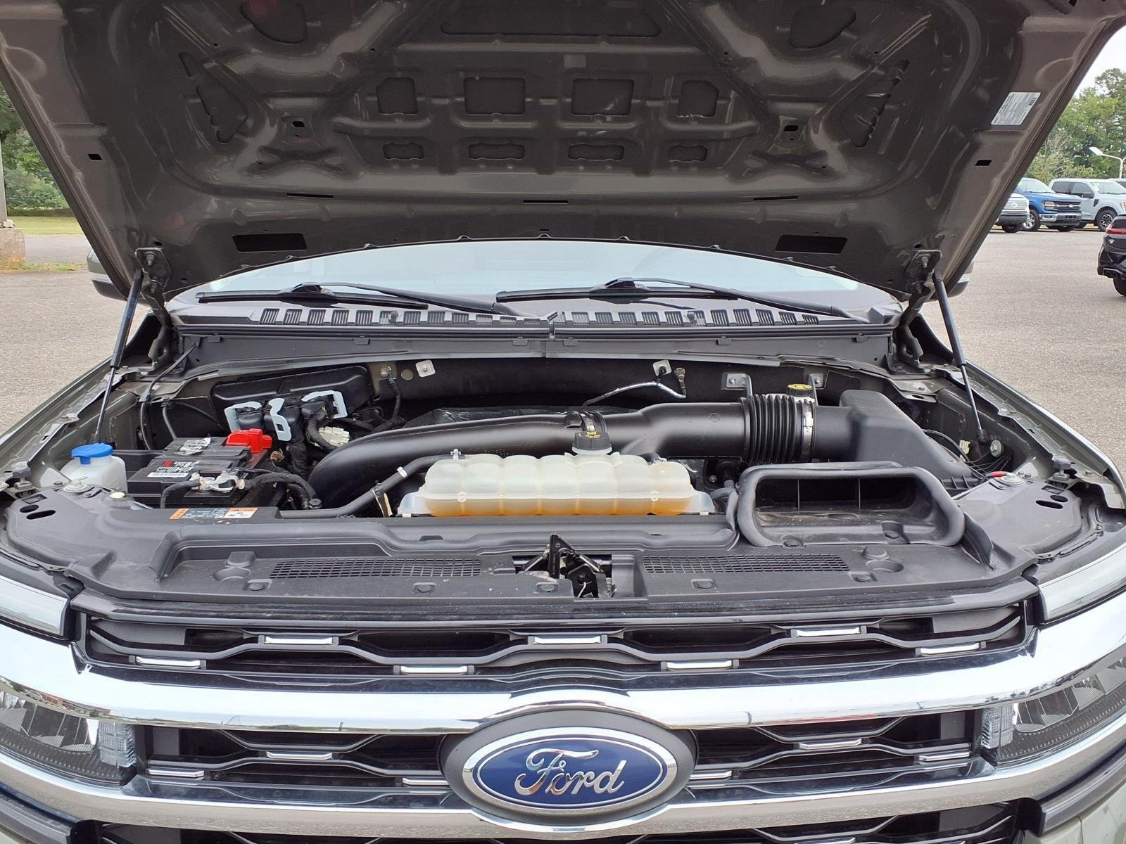 Used 2024 Wild Green Ford Limited image 33