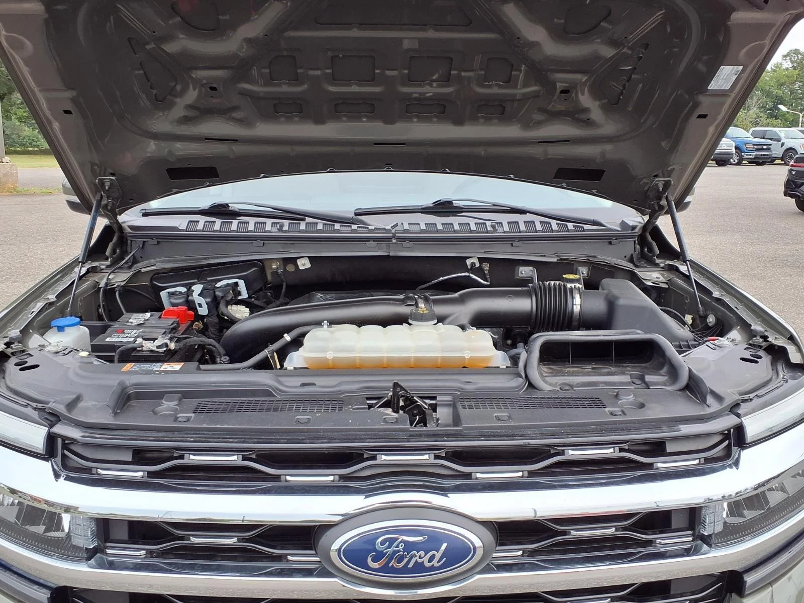 Used 2024 Wild Green Ford Limited image 33