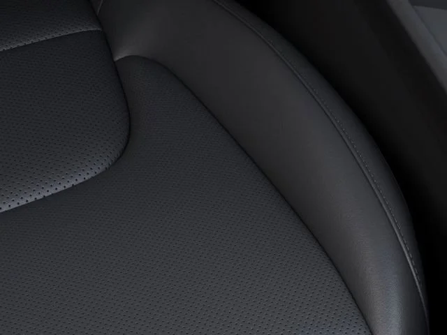 New 2026 Panthera Metal Gray Kia EX image 24