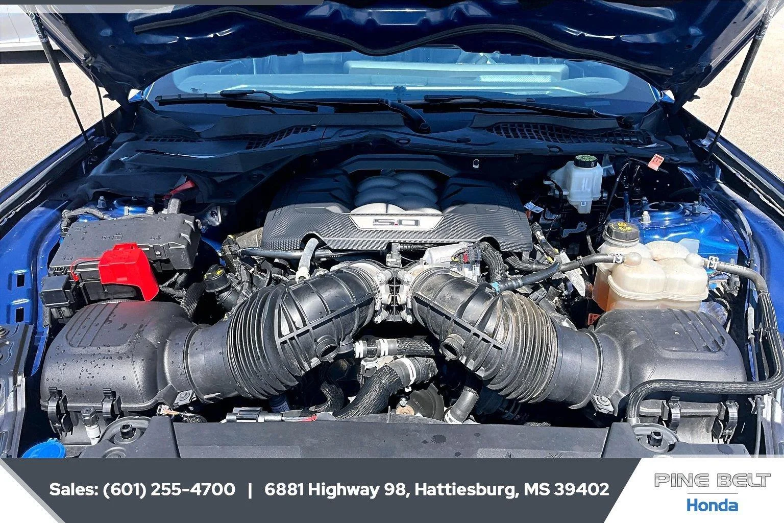 Used 2024 Atlas Blue Ford GT Premium image 8