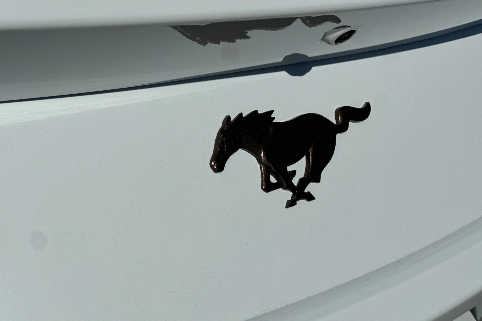 New 2026 Oxford White Ford EcoBoost® Fastback image 21