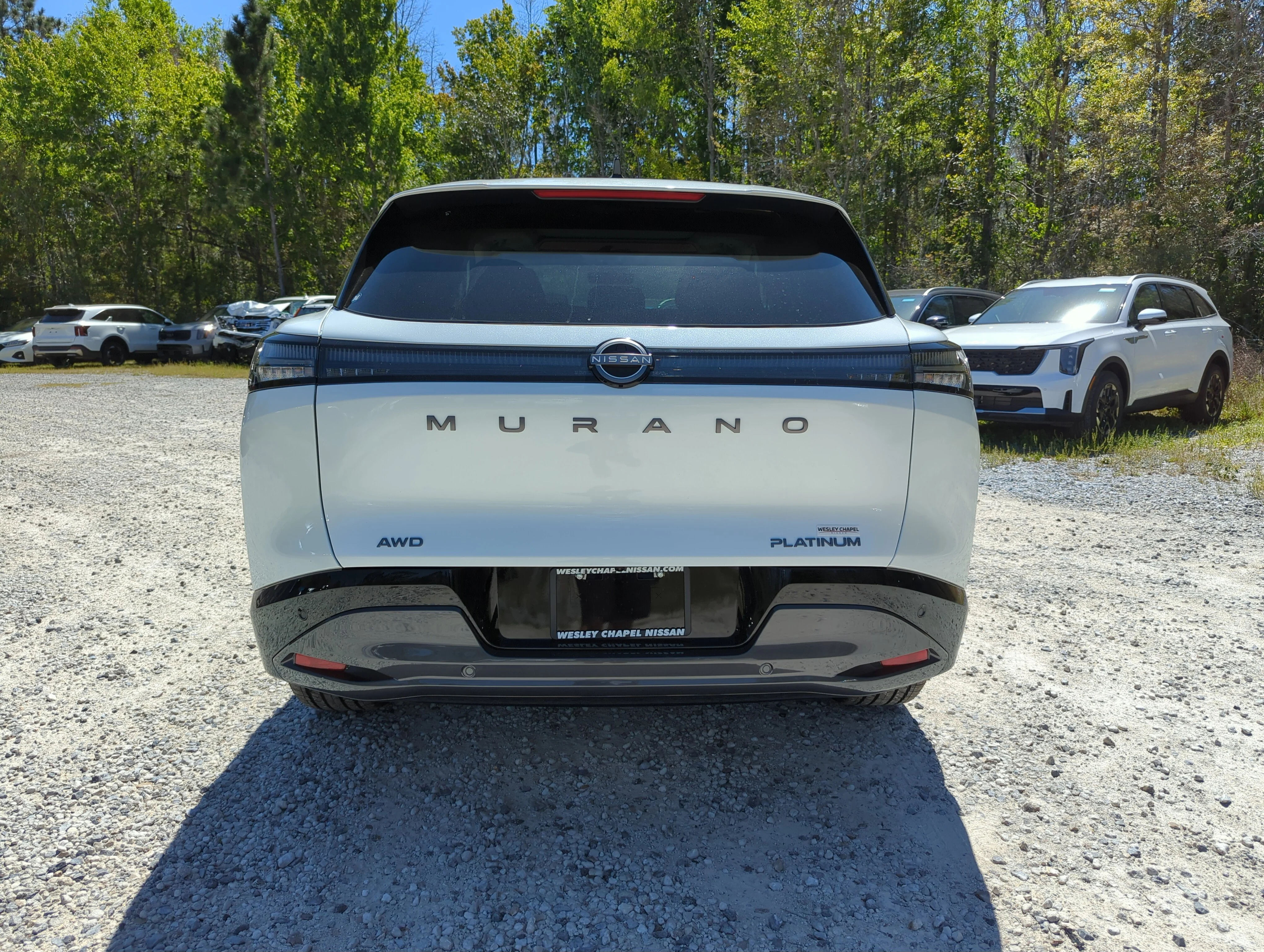 New 2026 Everest White Pearl TriCoat Nissan Platinum image 7