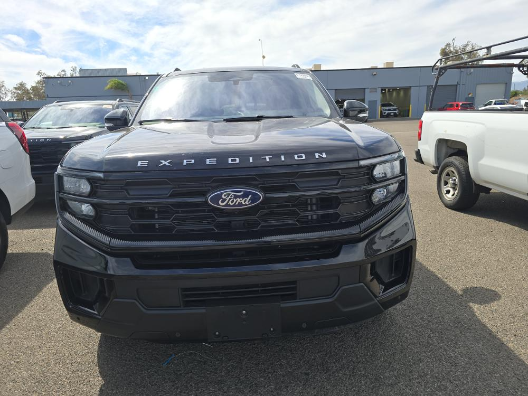 2025 Ford Expedition Active photo 2