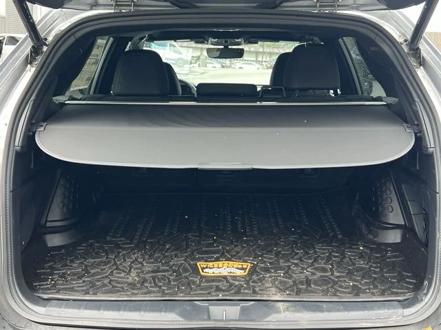 Used 2025 Silver Subaru Wilderness image 37