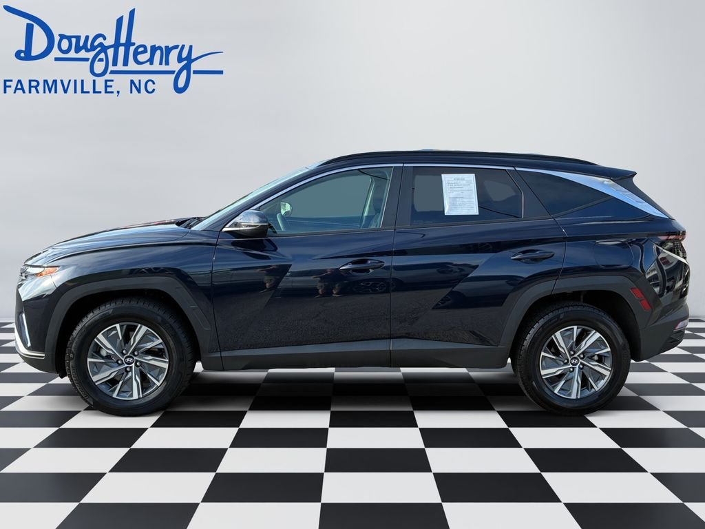 Used 2023 Blue Hyundai Blue image 2