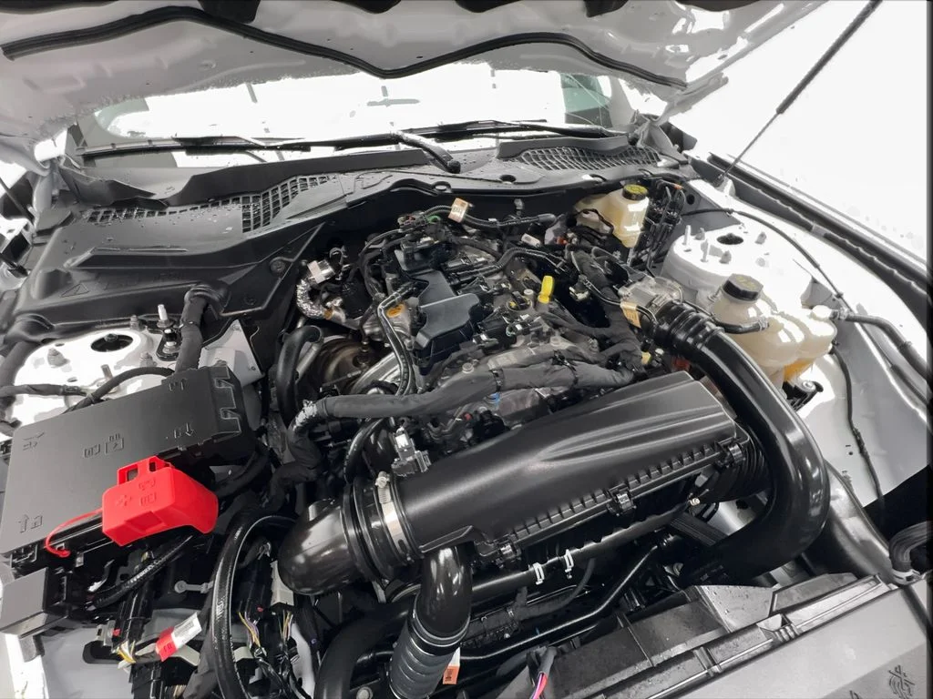 Used 2026 White Ford EcoBoost Premium image 19