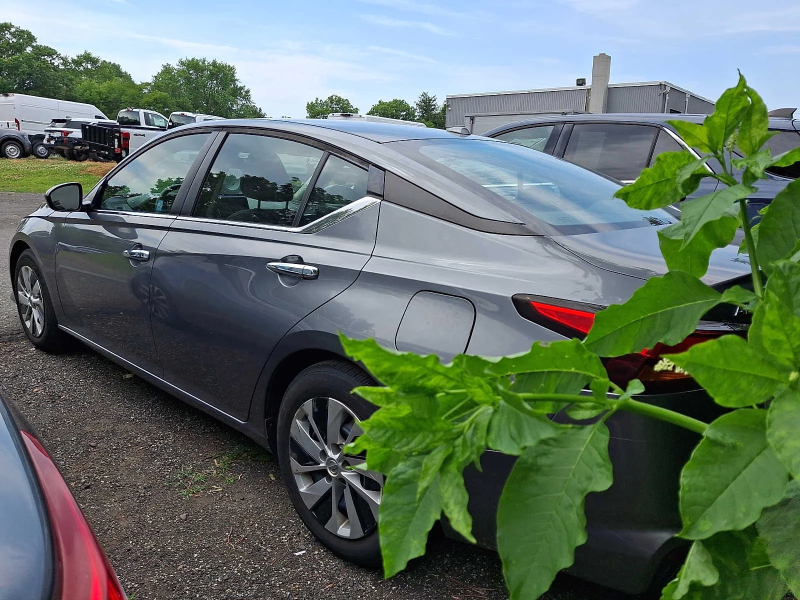 Used 2019 Gun Metallic Nissan 2.5 S image 4
