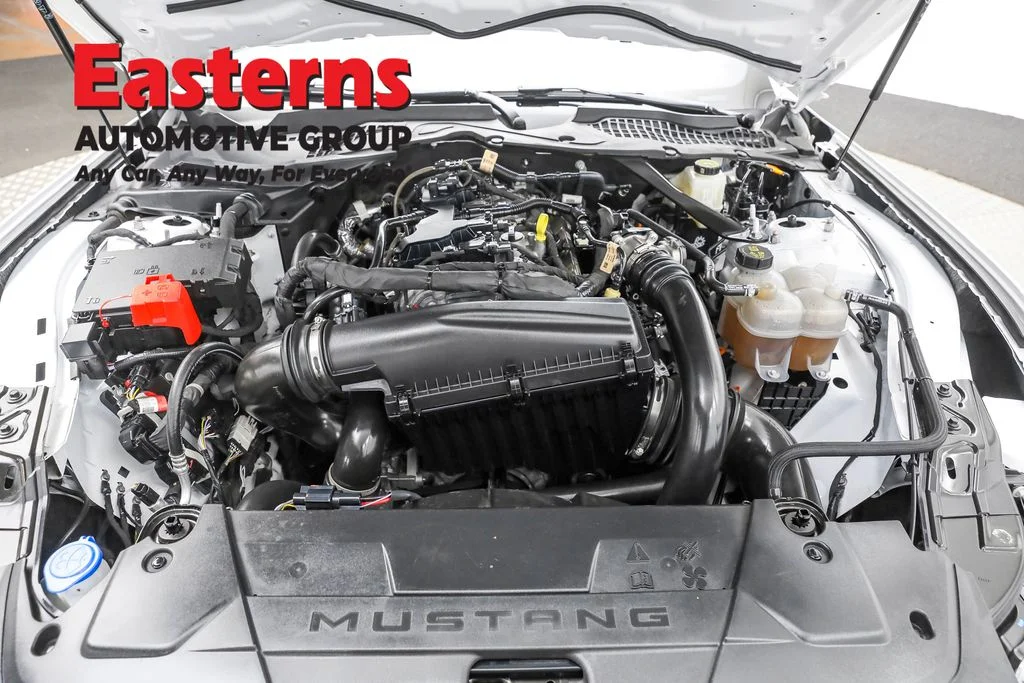 Used 2024 White Ford EcoBoost Premium image 7