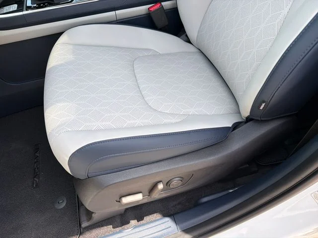 2027 Kia Carnival SX - Photo 19