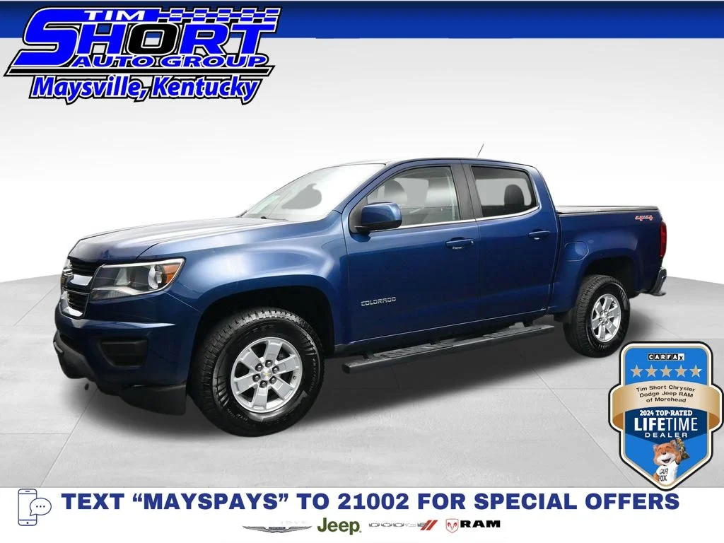 Used 2019 Blue Chevrolet Work Truck image 1
