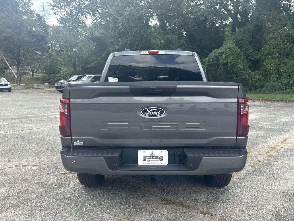 New 2026 Gray Ford STX image 6
