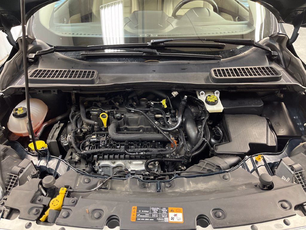 Used 2019 Green Ford SEL image 10