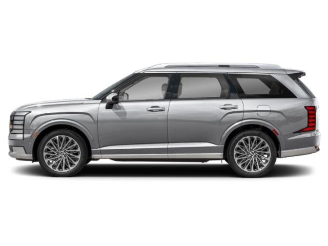 New 2026 Typhoon Silver Metallic Hyundai Calligraphy image 15