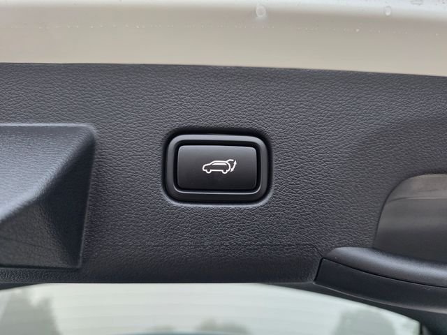 New 2027  Kia X-Line Prestige image 10
