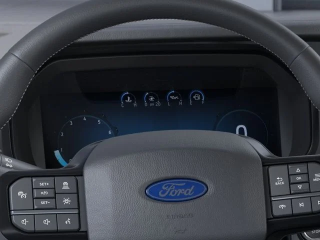 New 2026 Carbonized Gray Metallic Ford Platinum® image 13