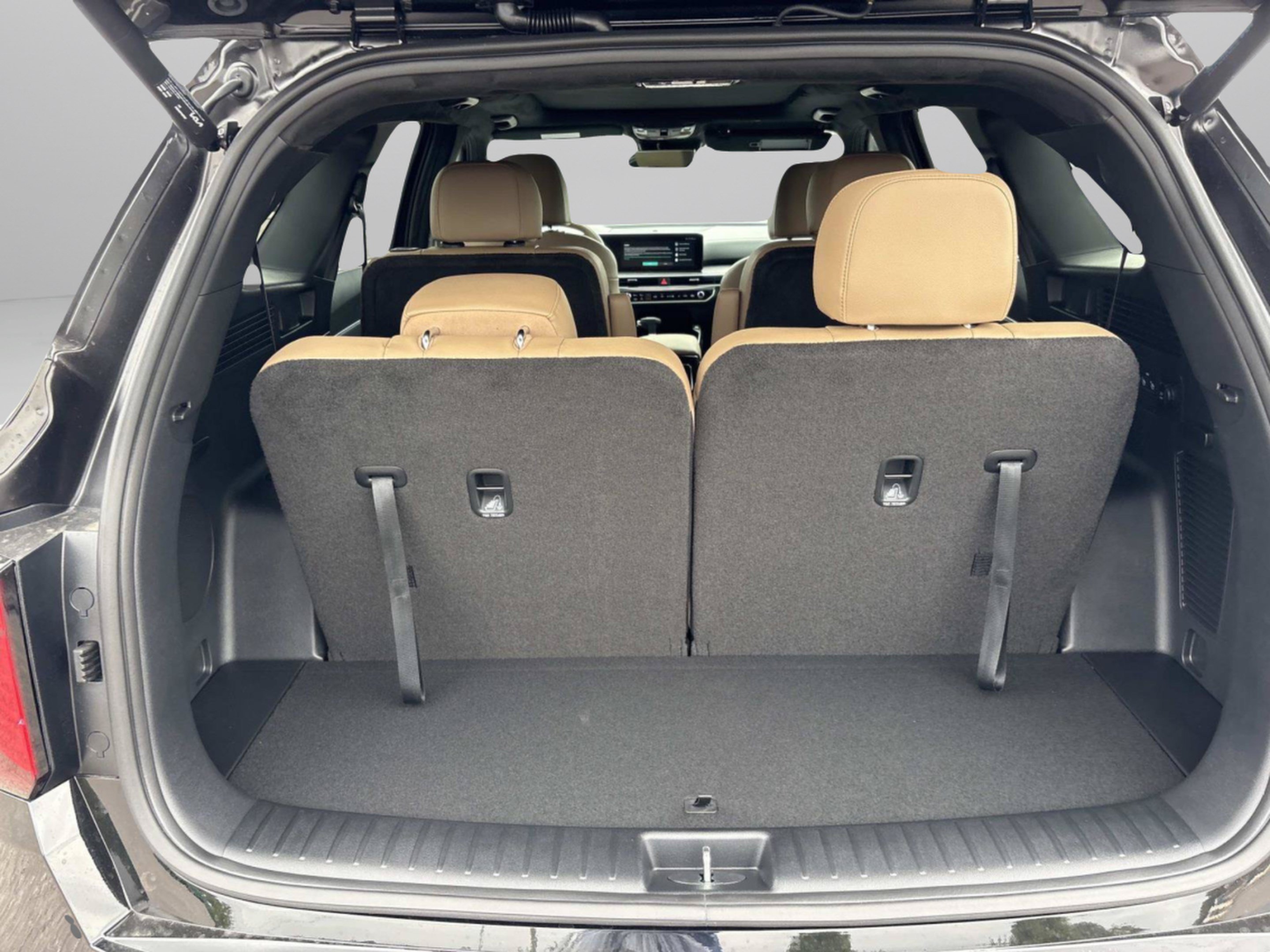 New 2026 Ebony Black Kia X-Line SX Prestige image 12