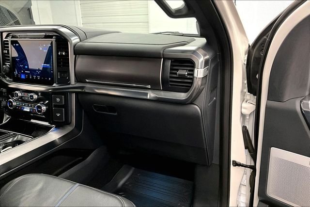 2025 Ford F-150 Platinum - Photo 18