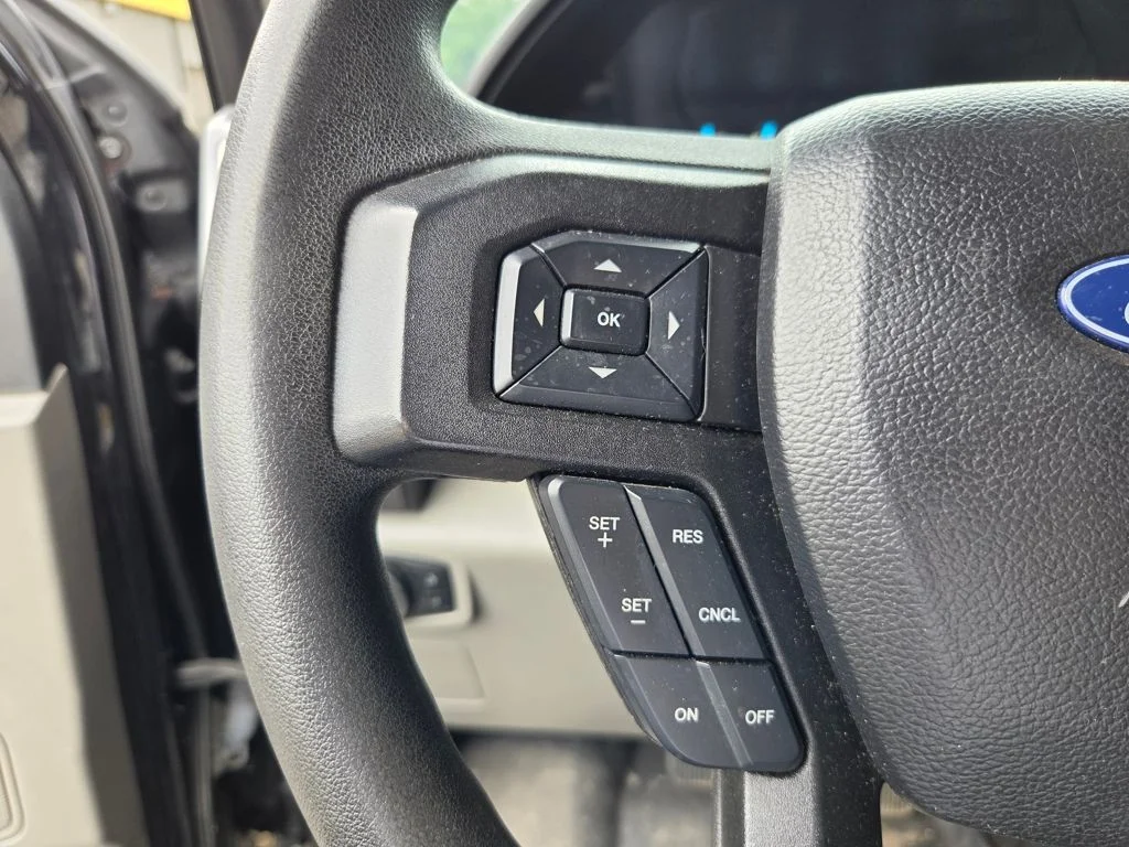 Used 2019 Blue Ford  image 15