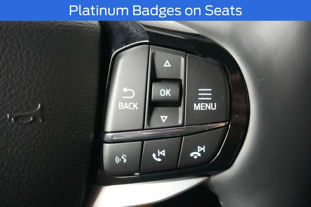 New 2027 Avalanche Gray Ford Platinum™ image 14