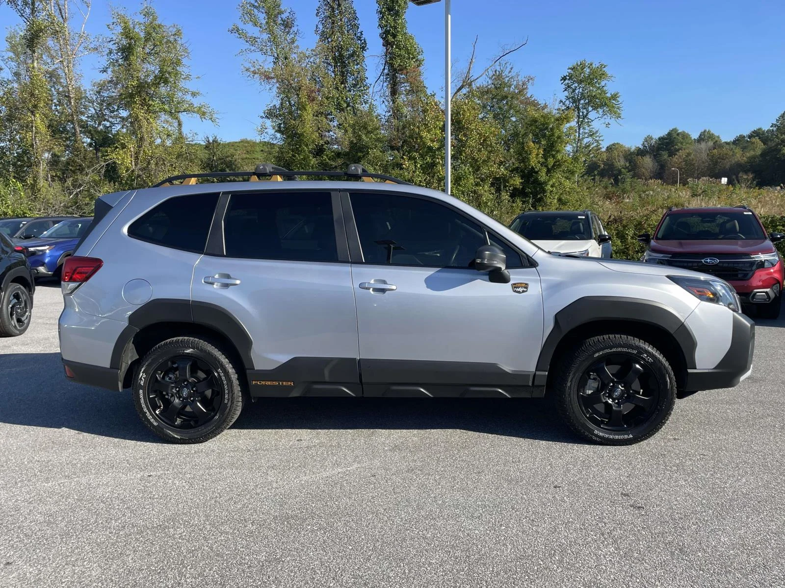 Used 2024 Ice Silver Metallic Subaru Wilderness image 31