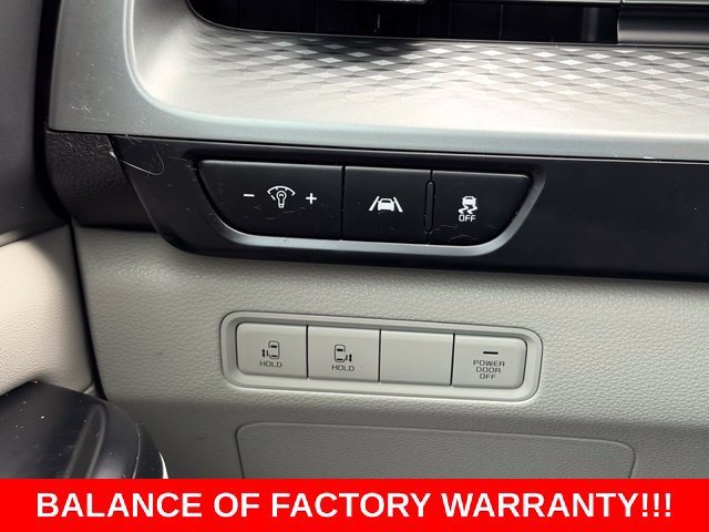 Used 2023 Panthera Metal Kia LX image 19