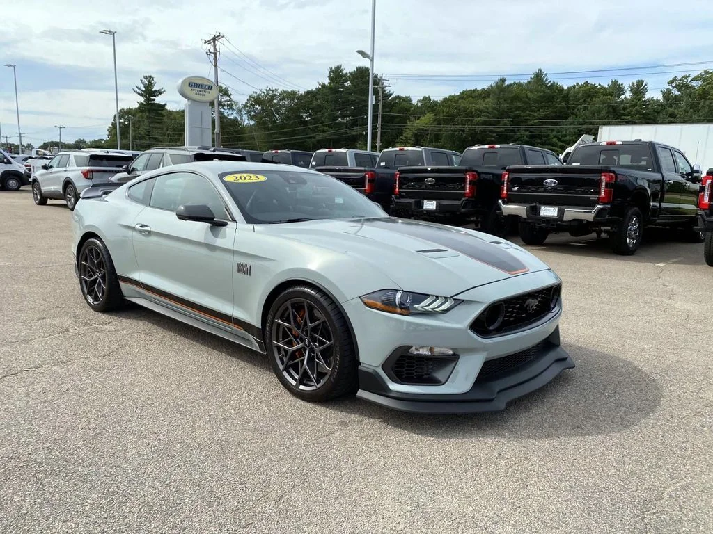 Used 2023 Gray Ford Mach 1 image 1