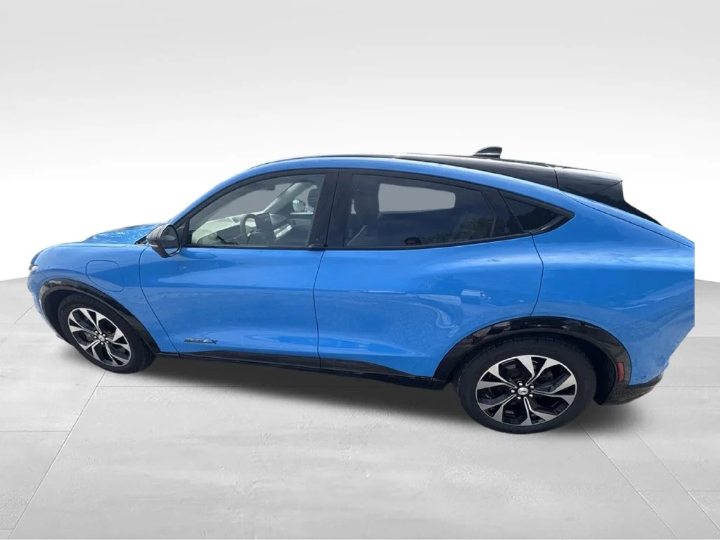 Used 2023 Blue Ford Premium image 4
