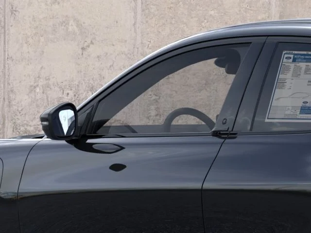 New 2026 Shadow Black Ford Premium image 22