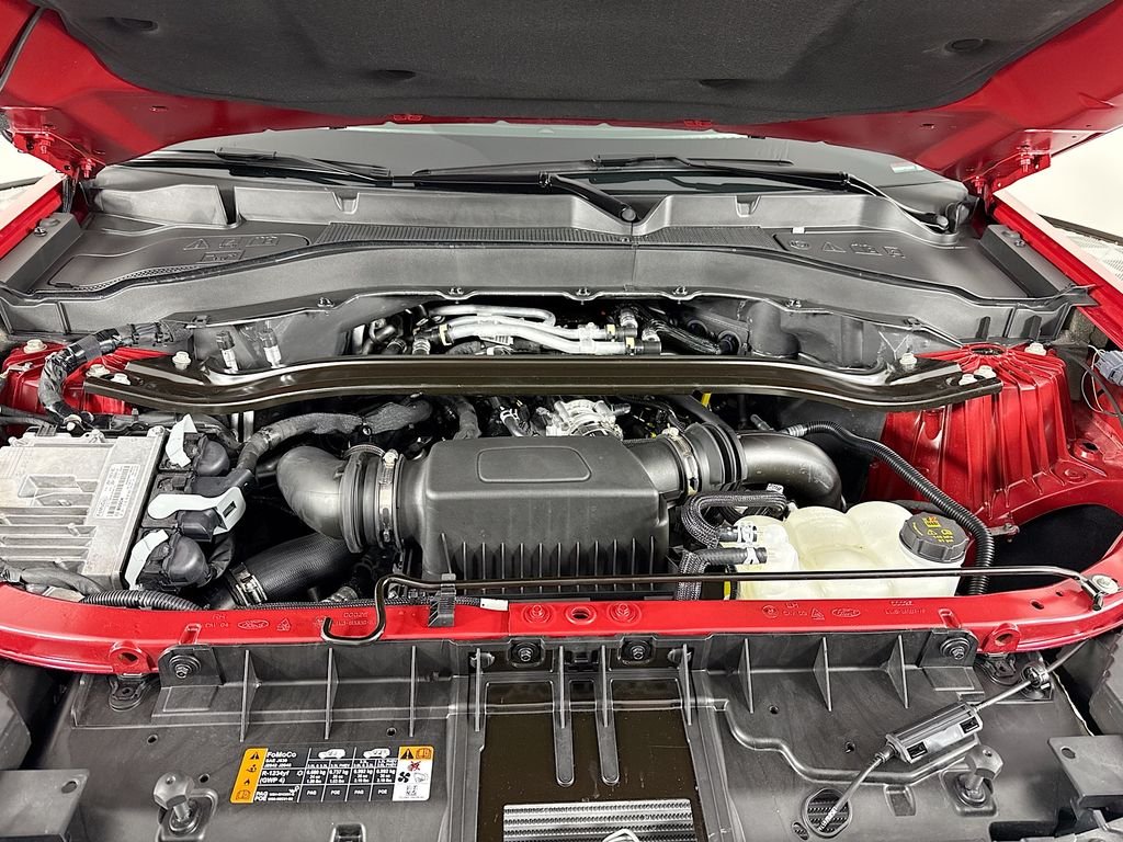 Used 2023 Red Ford Platinum image 33