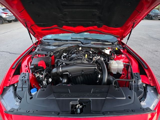 Used 2024 Red Ford EcoBoost Premium image 14