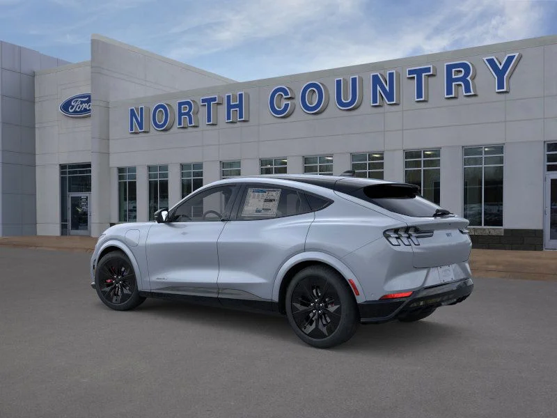 2025 Ford Mustang Mach-E GT - Photo 29