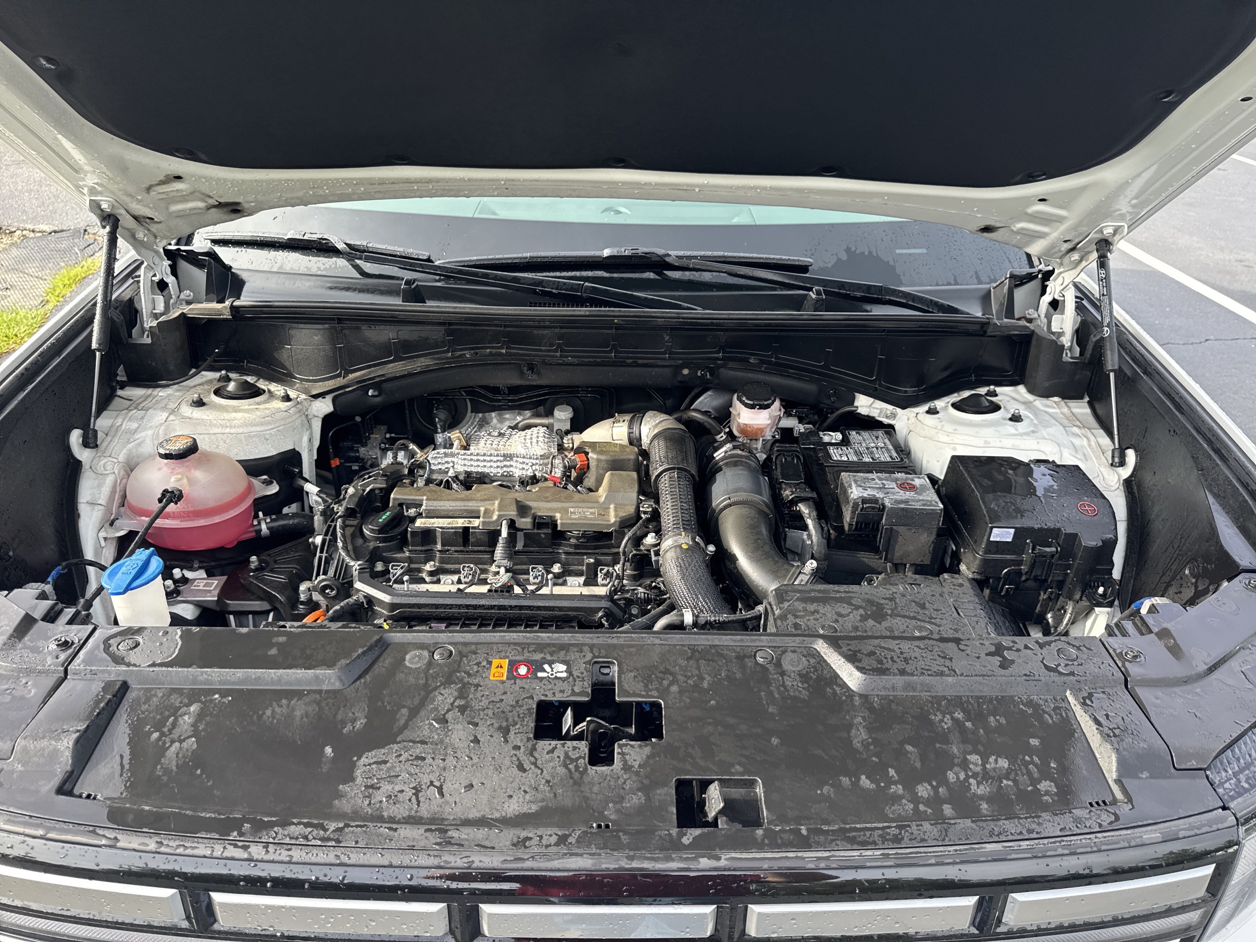 Used 2025 Serenity White Hyundai SEL image 37