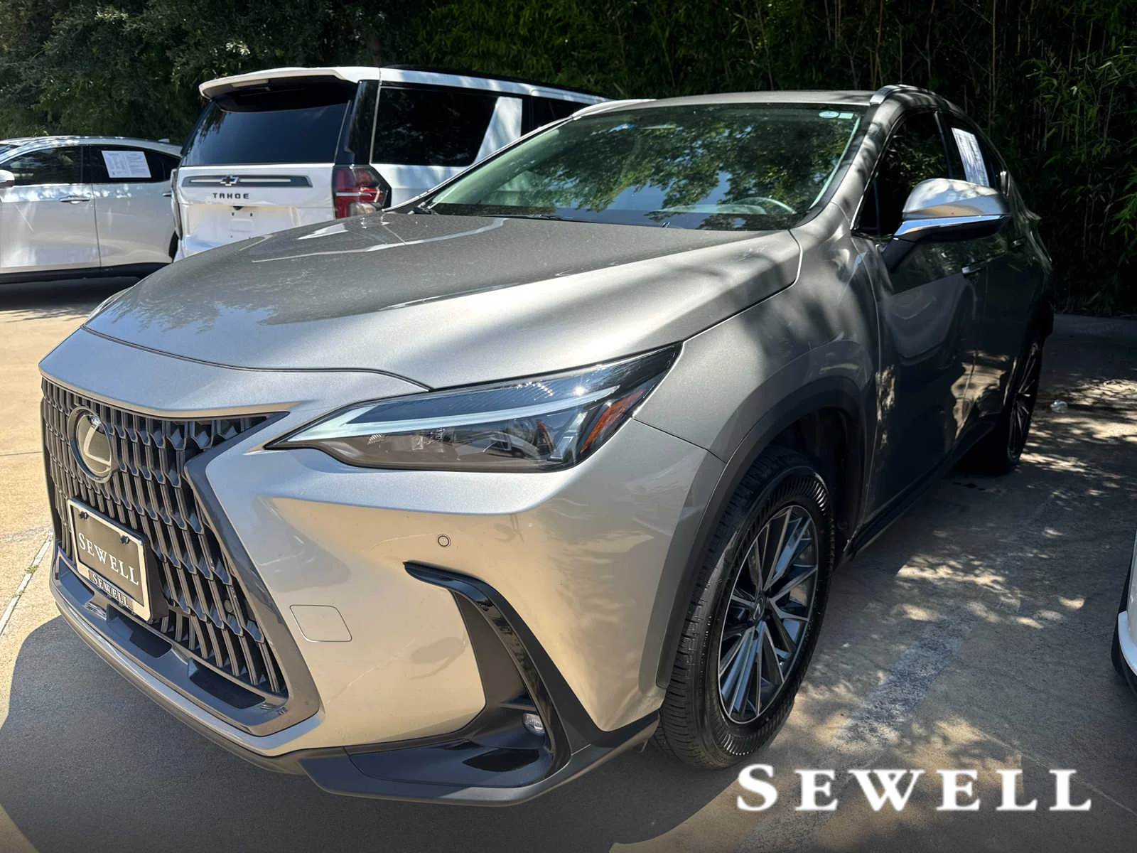 2025 Lexus NX 350's photo