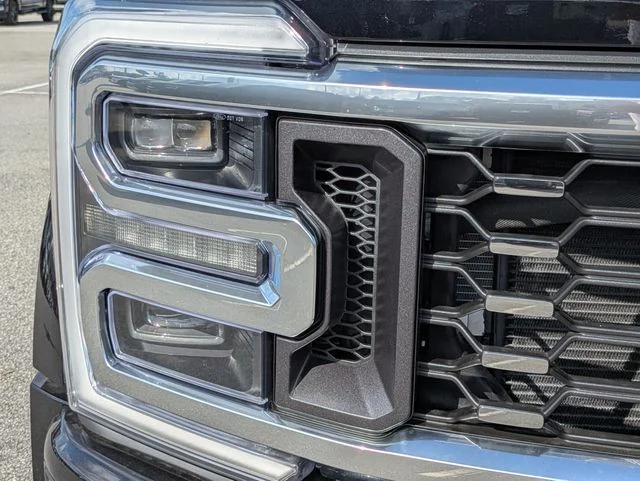 New 2026 Black Ford Platinum image 10