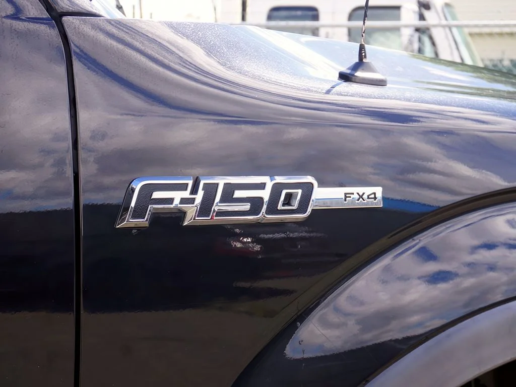 2010 Ford F-150 Platinum - Photo 9