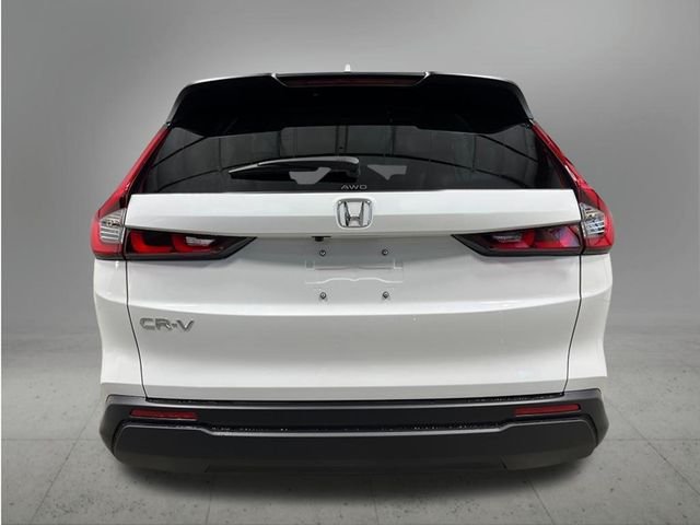 New 2026 Platinum White Pearl Honda LX image 4