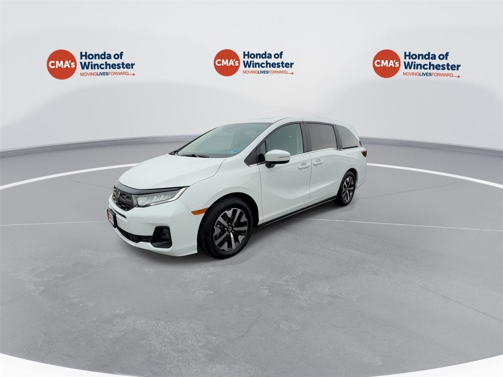 Used 2026 Platinum White Pearl Honda EX-L image 4