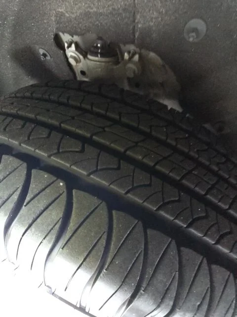 Used 2020 Gray Ford XLT image 13