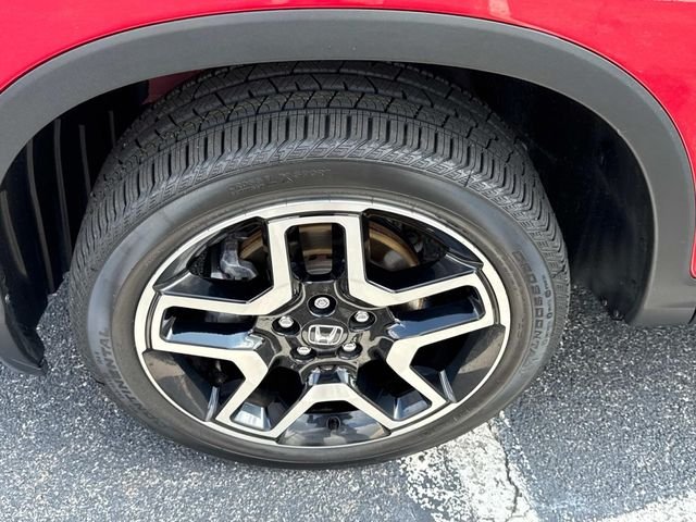 Photo 10