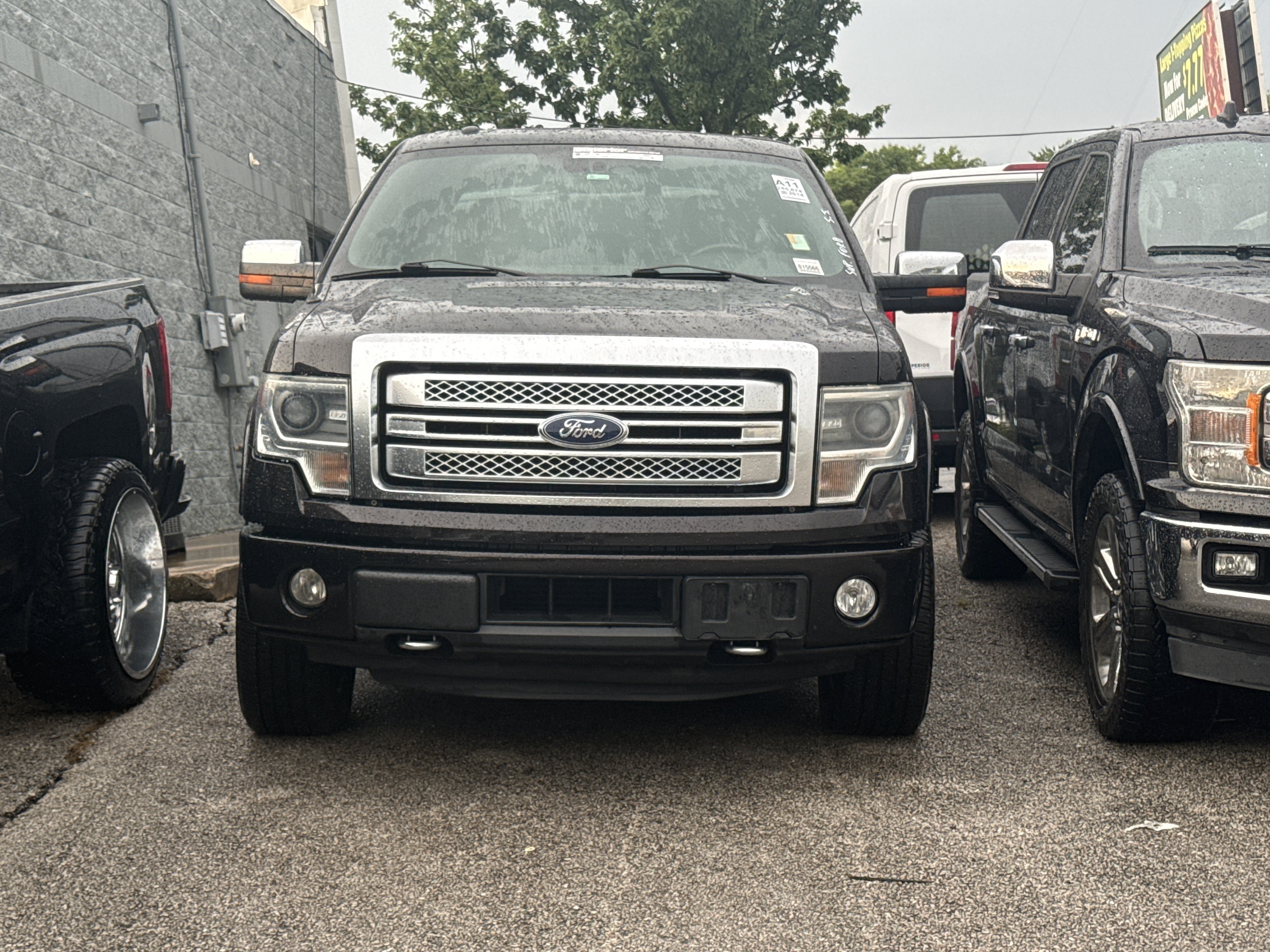 Used 2014 Brown Ford Platinum image 2