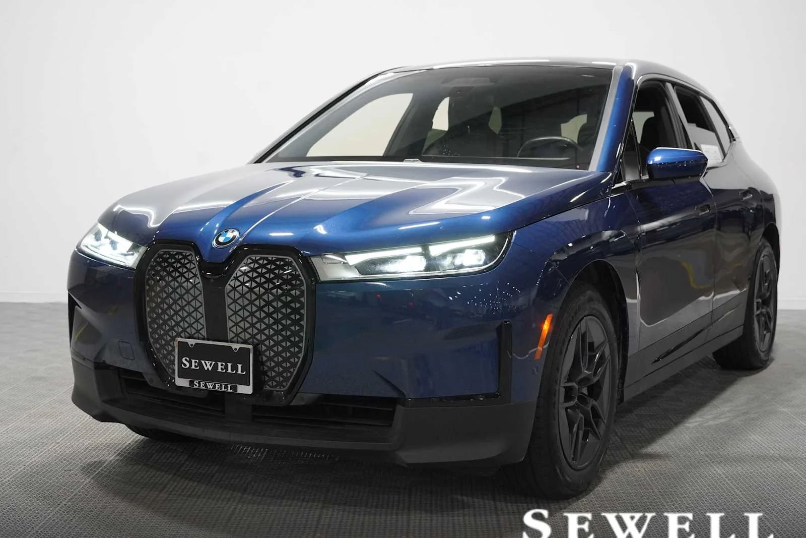 2024 BMW iX